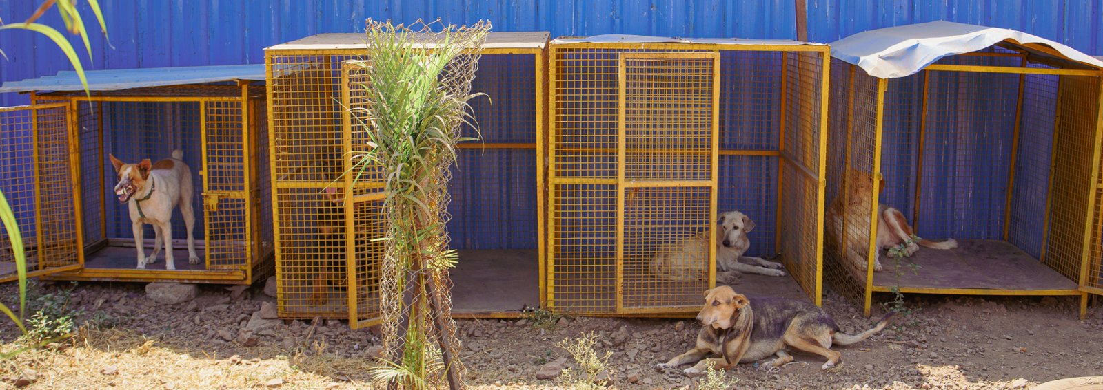 Aashiyana Retirement Home Aashiyana Retirement Home