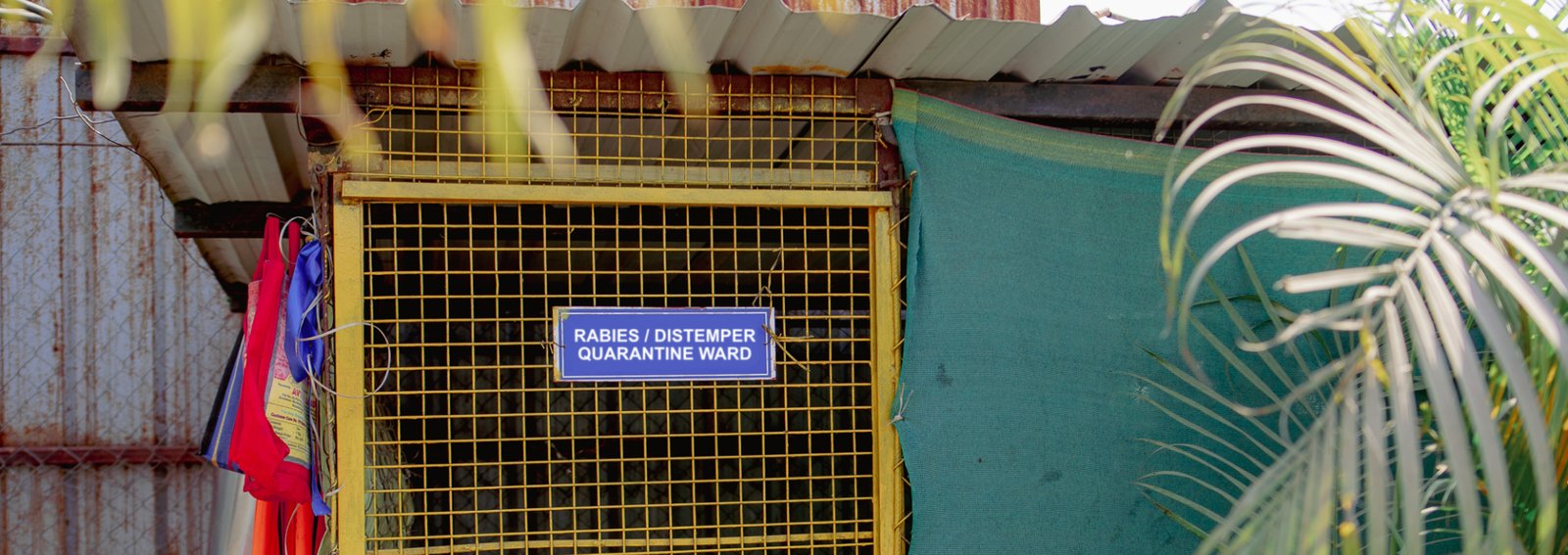 Quarantine Ward Quarantine Ward