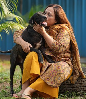 Tintin Tintin , was rescued with the help of Police in PCMC area by Activists. He was a pet dog , a Lab Mix , and suffered at the hands of his owners . Tied 24 hours a day , he developed a huge maggot wound on his back , and was not even getting treatment . We nursed him back to health and tried for his adoption , he lives with us Since 6 years only because potential adopters didnt like that 20 % Indian in him.