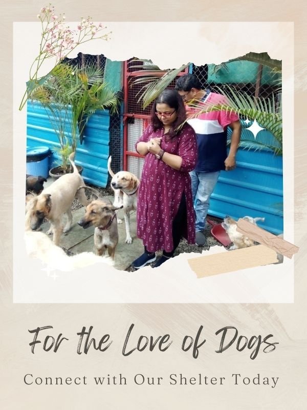 SHELTER VISITS SHELTER VISITS