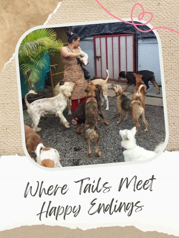 SHELTER VISITS SHELTER VISITS