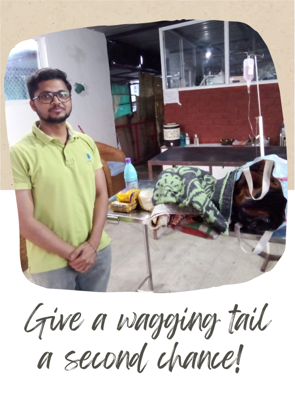 SHELTER VISITS SHELTER VISITS