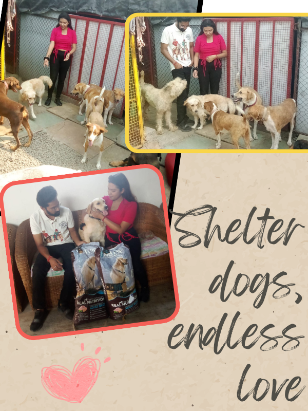 SHELTER VISITS SHELTER VISITS