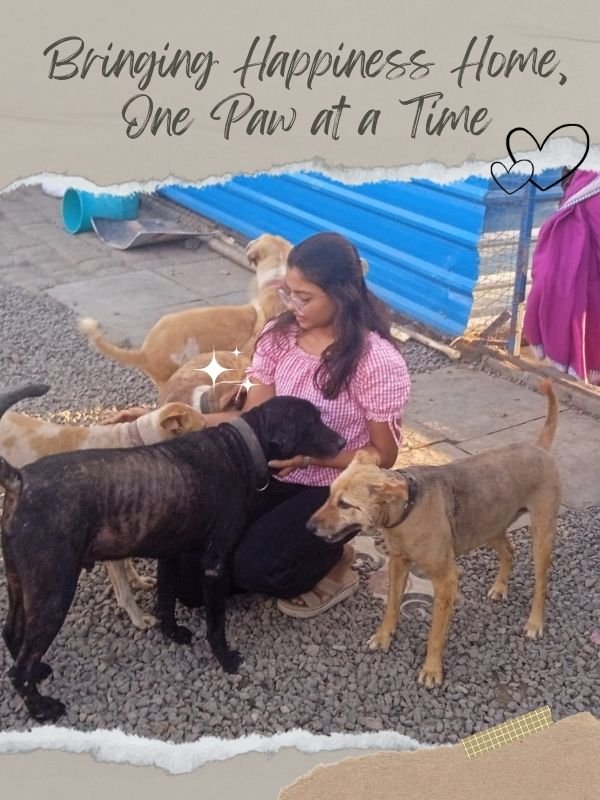 SHELTER VISITS SHELTER VISITS