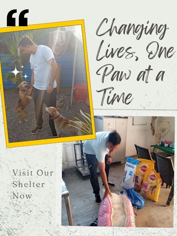 SHELTER VISITS SHELTER VISITS
