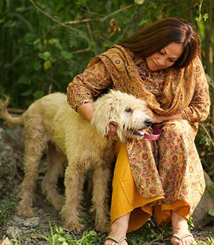 Tyson Tyson , a Terrier ,lived on streets in Lohegaon as a Stray and few volunteers were feeding him regularly. In addition to metted and dirty fur , it seemed like he was an abandoned Child with a Medical Teeth Grinding surgery done on his teeth . He was caught on the request of the Local Corporator to remove from that area and to relocate only because he chased a kid . His feeders requested us to let him be a part of our ART family. Tyson is with us Since 3 years and has not bitten or troubled any staff or visitor till date .