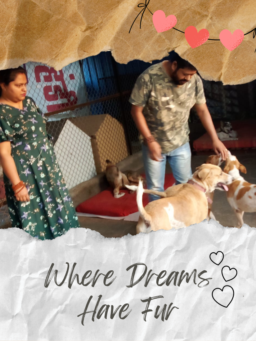 SHELTER VISITS SHELTER VISITS