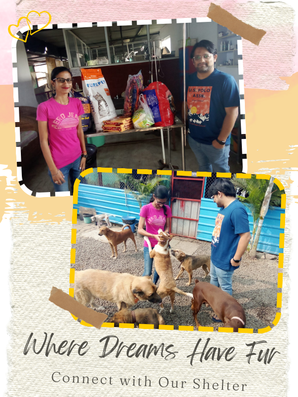 SHELTER VISITS SHELTER VISITS