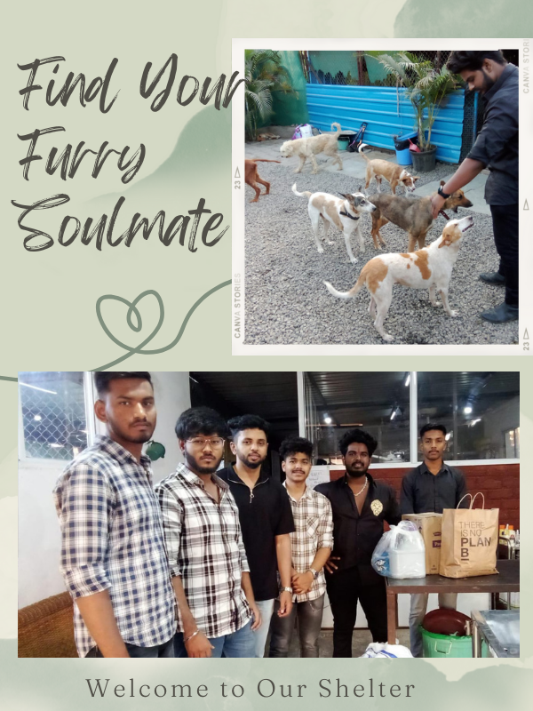 SHELTER VISITS SHELTER VISITS