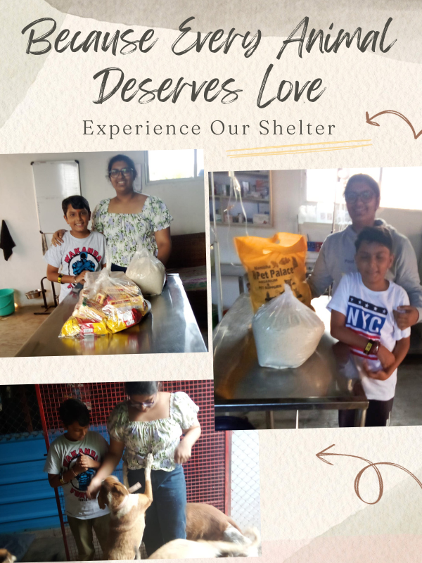 SHELTER VISITS SHELTER VISITS