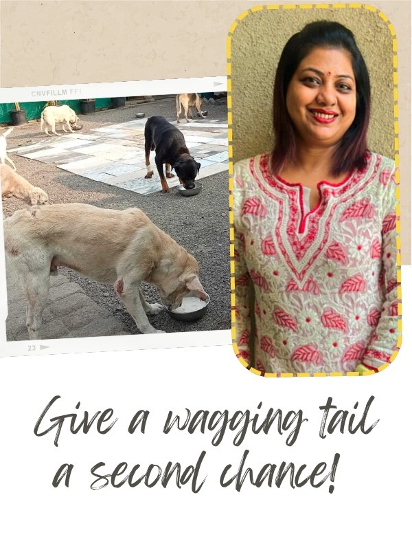 SHELTER VISITS SHELTER VISITS