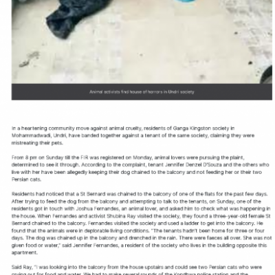 Pune Mirror Pune Mirror