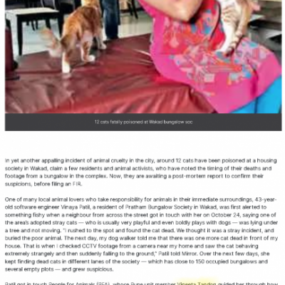 Pune Mirror Pune Mirror