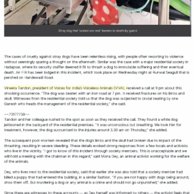 Pune Mirror Pune Mirror