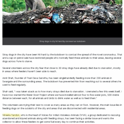 Pune Mirror Pune Mirror