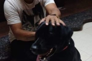 FB_IMG_1567062267788 FB_IMG_1567062267788