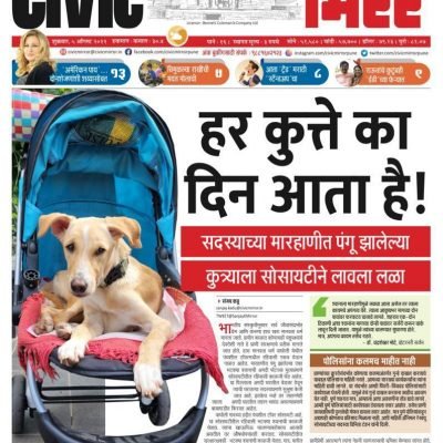 Civic Mirror Civic Mirror