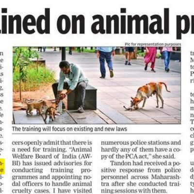 WhatsApp Image 2023-08-25 at 6.39.47 PM WhatsApp Image 2023-08-25 at 6.39.47 PM